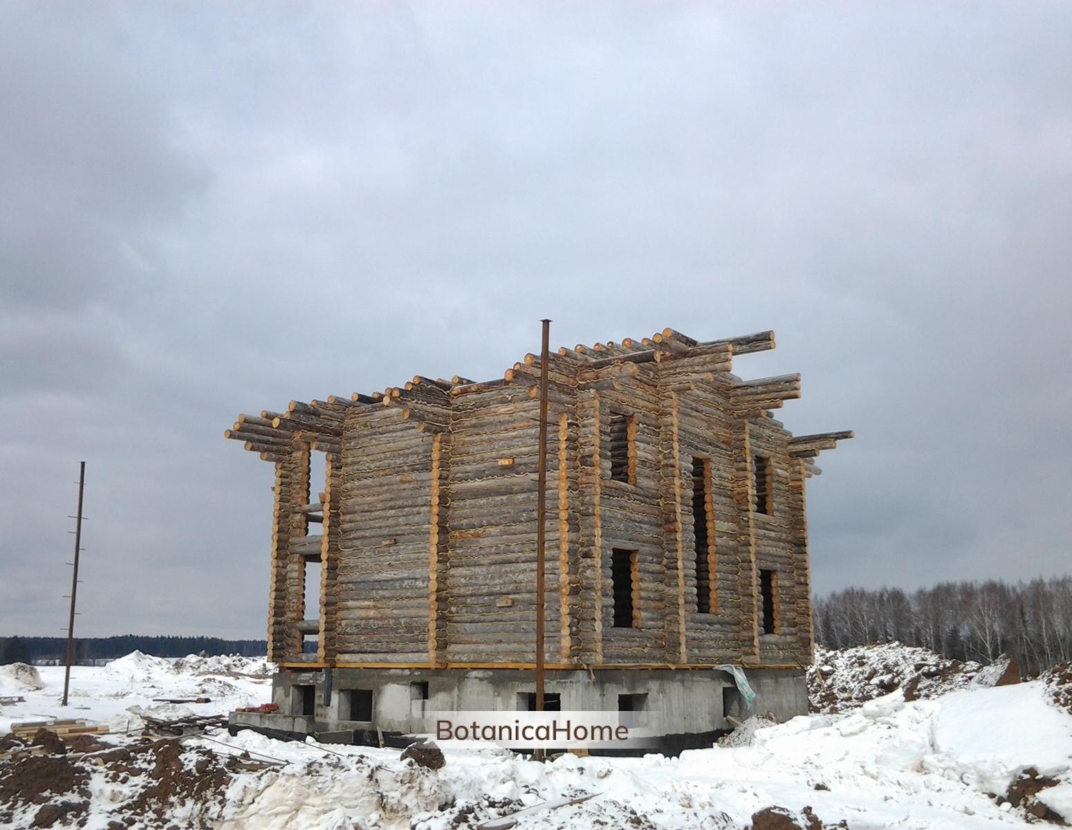 Дом из сухостойной сосны